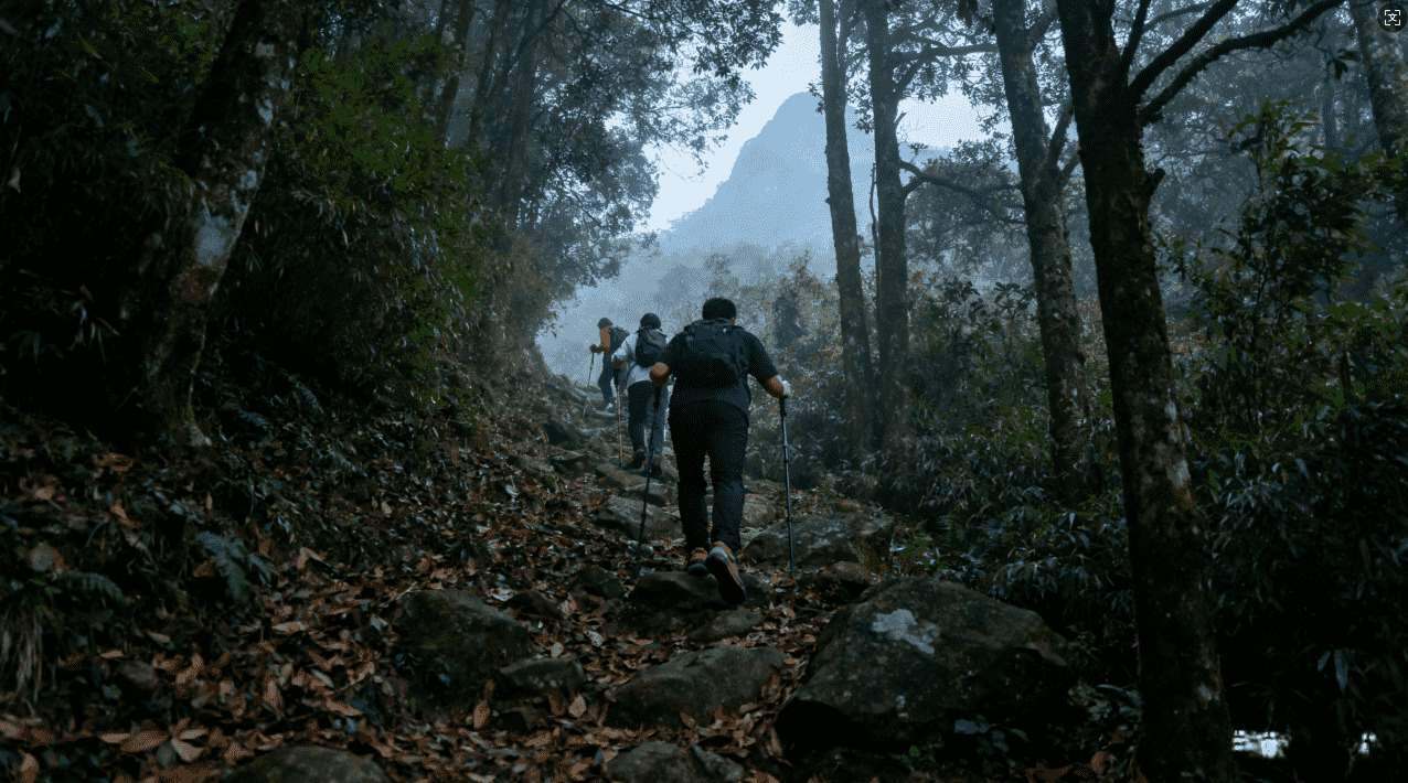 白鲸加速器到期后不能使用的常见原因与应对措施